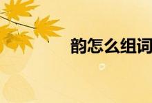 韵怎么组词（韵组词解释）