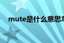 mute是什么意思车上的（mute的意思）