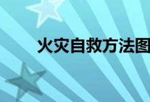 火灾自救方法图片（火灾自救方法）
