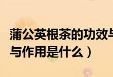 蒲公英根茶的功效与作用（蒲公英根茶的功效与作用是什么）