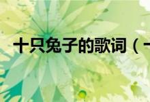 十只兔子的歌词（十只兔子的歌词是什么）