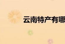 云南特产有哪些（分别有什么）
