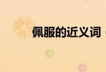 佩服的近义词（佩服的词语解释）