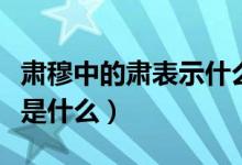 肃穆中的肃表示什么意思（肃穆中的肃的意思是什么）