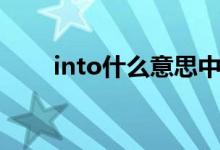 into什么意思中文（into什么意思）