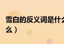 雪白的反义词是什么（雪白的反义词具体是什么）