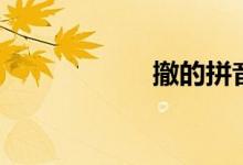 撤的拼音（撤组词）
