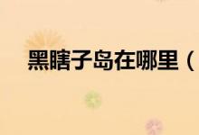 黑瞎子岛在哪里（黑瞎子岛的地理位置）
