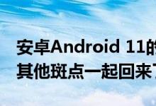 安卓Android 11的表情库显示可爱的乌龟与其他斑点一起回来了
