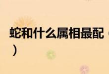 蛇和什么属相最配（属蛇的人与哪些属相合适）