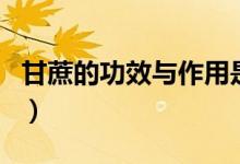 甘蔗的功效与作用是什么（甘蔗的功效与作用）