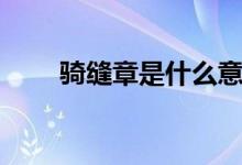 骑缝章是什么意思（什么是骑缝章）