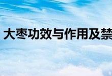 大枣功效与作用及禁忌（三大功效三大禁忌）