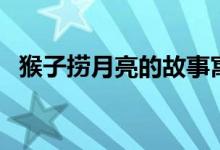 猴子捞月亮的故事寓意（猴子捞月亮典故）