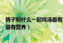鸽子和什么一起炖汤最有营养（美味的鸽子和什么一起炖汤最有营养）