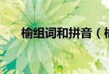 榆组词和拼音（榆组词和拼音是什么）