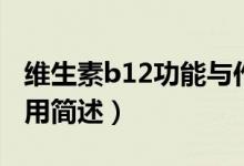 维生素b12功能与作用（维生素b12功能与作用简述）