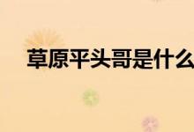 草原平头哥是什么动物（蜜獾相关介绍）