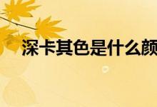 深卡其色是什么颜色（什么是深卡其色）