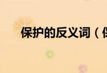 保护的反义词（保护的反义词有哪些）