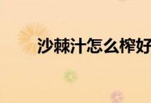 沙棘汁怎么榨好（怎样制作沙棘汁）