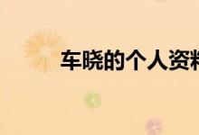 车晓的个人资料（车晓人物简介）