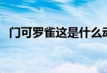 门可罗雀这是什么动物（门可罗雀的意思）
