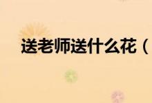 送老师送什么花（送老师的花怎么选择）