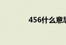 456什么意思（456的意思）