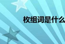 枚组词是什么（枚组词有哪些）