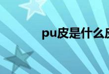 pu皮是什么皮（pu皮的种类）