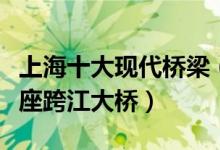 上海十大现代桥梁（上海著名的大桥上海有几座跨江大桥）