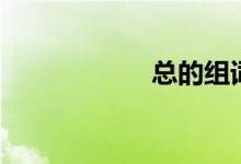 总的组词（总解释）