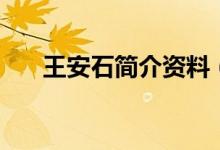 王安石简介资料（王安石诗人的资料）