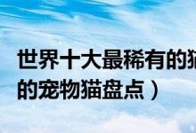 世界十大最稀有的猫（哪种猫咪最稀有最稀有的宠物猫盘点）