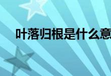 叶落归根是什么意思（叶落归根的释义）