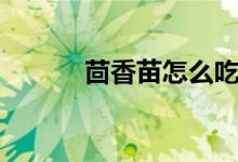 茴香苗怎么吃（茴香苗怎么吃）