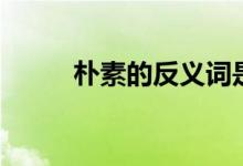 朴素的反义词是什么（朴素解释）
