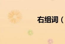 右组词（右怎么组词）