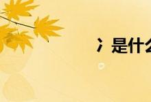 冫是什么（冫是啥）