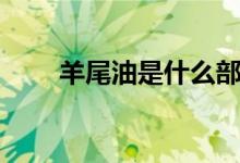 羊尾油是什么部位（羊尾油的介绍）