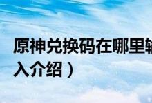 原神兑换码在哪里输入（原神兑换码在哪里输入介绍）