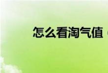 怎么看淘气值（如何查看淘气值）