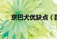 京巴犬优缺点（跟你一起了解京巴犬）