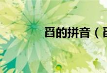 舀的拼音（舀的拼音怎么写）