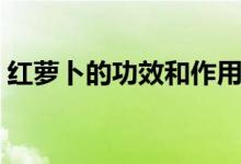 红萝卜的功效和作用（红萝卜有什么的功效）