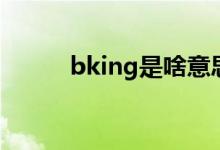 bking是啥意思（bking的解释）