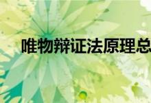 唯物辩证法原理总结（唯物辩证法原理）