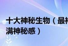 十大神秘生物（最神秘的十大生物这些生物充满神秘感）