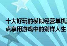 十大好玩的模拟经营单机游戏（好评如潮的模拟经营游戏盘点享用游戏中的别样人生）